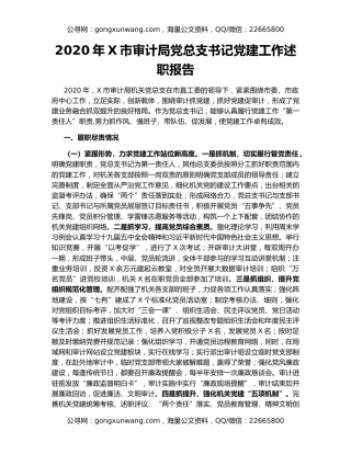 2020年X市审计局党总支书记党建工作述职报告