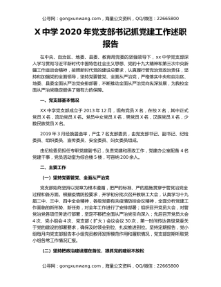 X中学2020年党支部书记抓党建工作述职报告