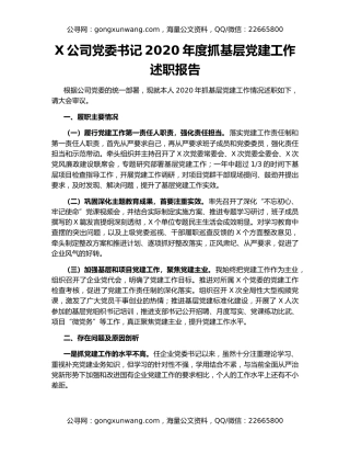 X公司党委书记2020年度抓基层党建工作述职报告