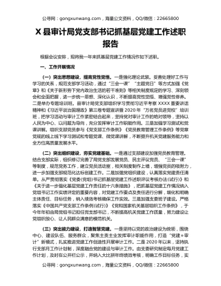 X县审计局党支部书记抓基层党建工作述职报告