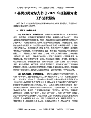 X县民政局党总支书记2020年抓基层党建工作述职报告