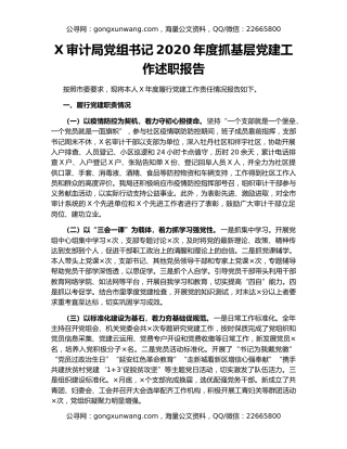 X审计局党组书记2020年度抓基层党建工作述职报告