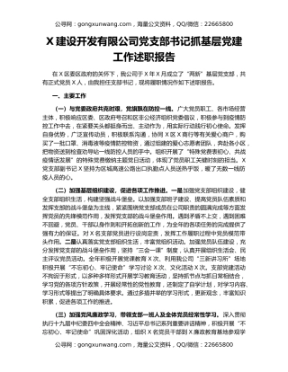 X建设开发有限公司党支部书记抓基层党建工作述职报告