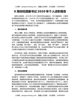 X高校校团委书记2020年个人述职报告