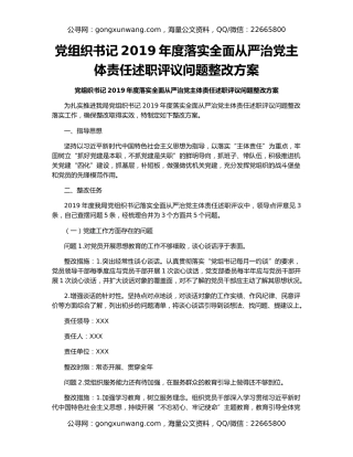 党组织书记2019年度落实全面从严治党主体责任述职评议问题整改方案
