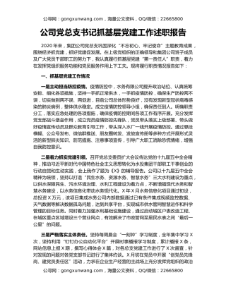 公司党总支书记抓基层党建工作述职报告