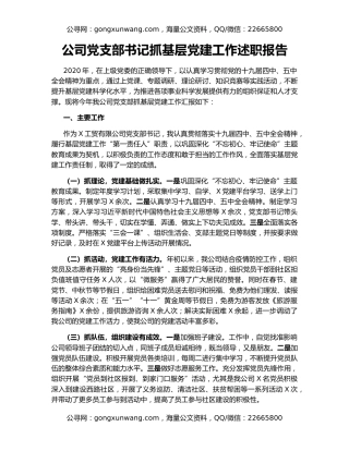 公司党支部书记抓基层党建工作述职报告（2）