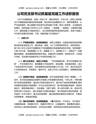 公司党支部书记抓基层党建工作述职报告（3）