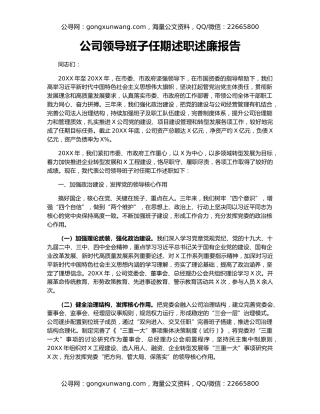 公司领导班子任期述职述廉报告（2）