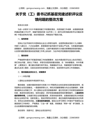 关于党（工）委书记抓基层党建述职评议反馈问题的整改方案