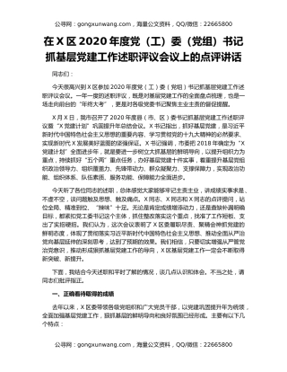 在X区2020年度党（工）委（党组）书记抓基层党建工作述职评议会议上的点评讲话