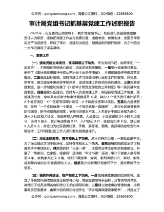 审计局党组书记抓基层党建工作述职报告
