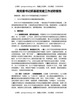 局党委书记抓基层党建工作述职报告