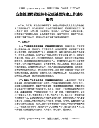 应急管理局党组织书记抓基层党建工作述职报告