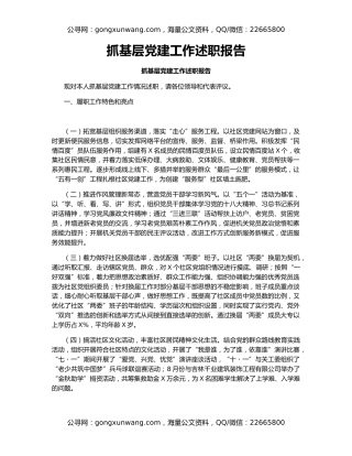 抓基层党建工作述职报告（3）