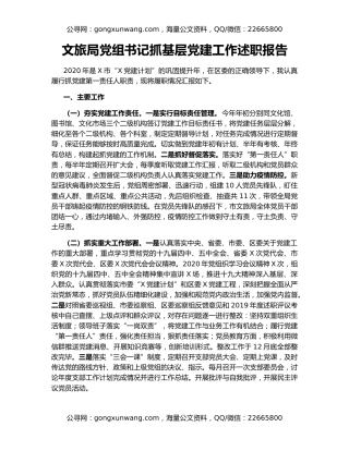 文旅局党组书记抓基层党建工作述职报告