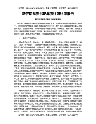 新任职党委书记年度述职述廉报告