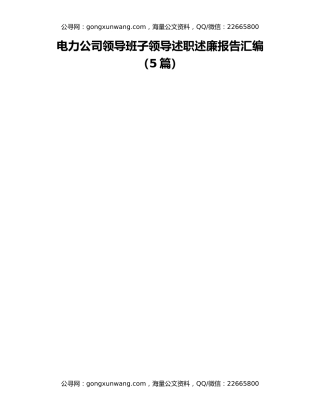 电力公司领导班子领导述职述廉报告汇编（5篇）