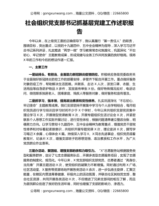 社会组织党支部书记抓基层党建工作述职报告