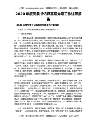 2020年度党委书记抓基层党建工作述职报告