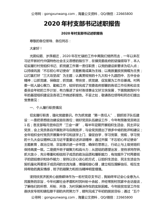 2020年村支部书记述职报告