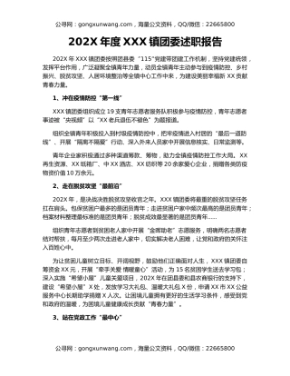 202X年度XXX镇团委述职报告