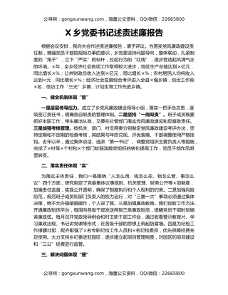 X乡党委书记述责述廉报告