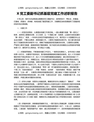 X党工委副书记抓基层党建工作述职报告