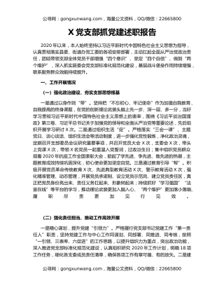 X党支部抓党建述职报告