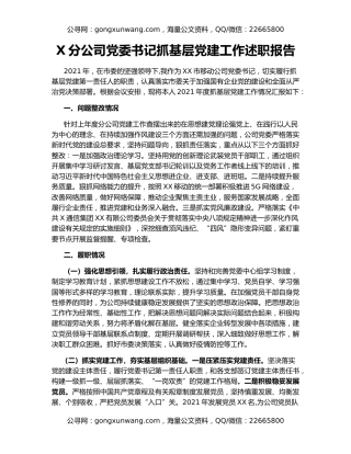 X分公司党委书记抓基层党建工作述职报告