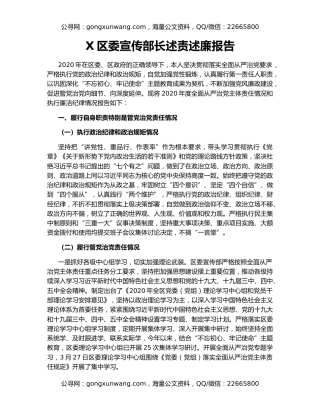 X区委宣传部长述责述廉报告