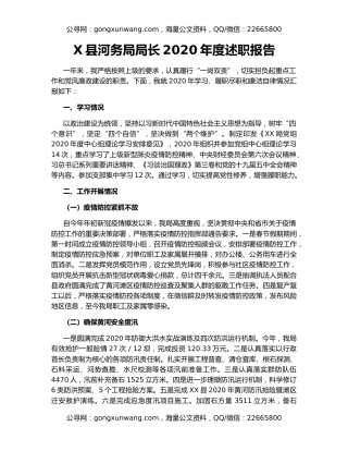 X县河务局局长2020年度述职报告