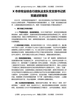 X市农牧业综合行政执法支队党支部书记抓党建述职报告