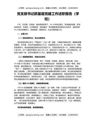 党支部书记抓基层党建工作述职报告（学校）（2）