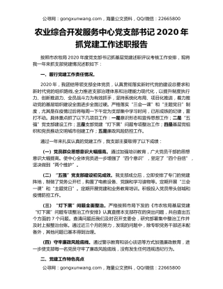 农业综合开发服务中心党支部书记2020年抓党建工作述职报告