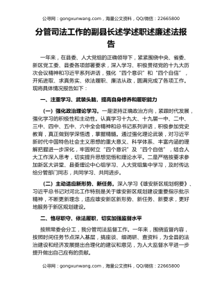 分管司法工作的副县长述学述职述廉述法报告