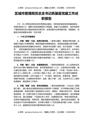 区城市管理局党总支书记抓基层党建工作述职报告