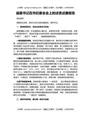 县委书记在市纪委全会上的述责述廉报告