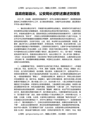 县政府副县长、公安局长述职述廉述效报告