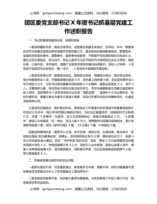 团区委党支部书记X年度书记抓基层党建工作述职报告