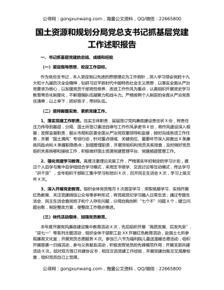 国土资源和规划分局党总支书记抓基层党建工作述职报告