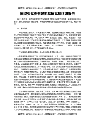 国资委党委书记抓基层党建述职报告