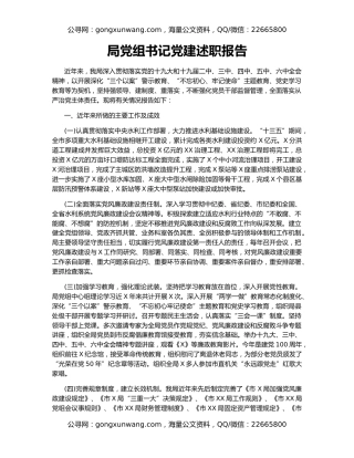 局党组书记党建述职报告