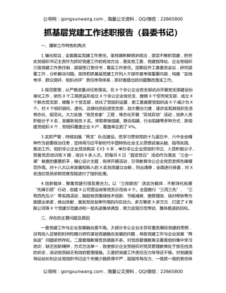 抓基层党建工作述职报告（县委书记）