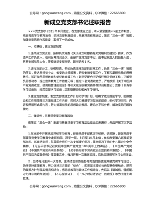 新成立党支部书记述职报告