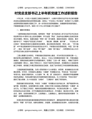 村党总支部书记上半年抓党建工作述职报告
