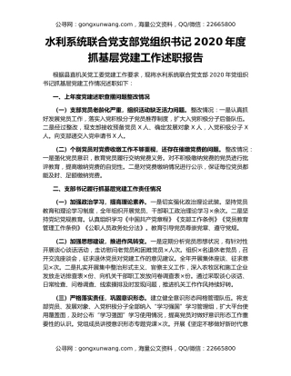 水利系统联合党支部党组织书记2020年度抓基层党建工作述职报告