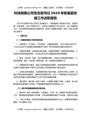 科技有限公司党支部书记2020年抓基层党建工作述职报告