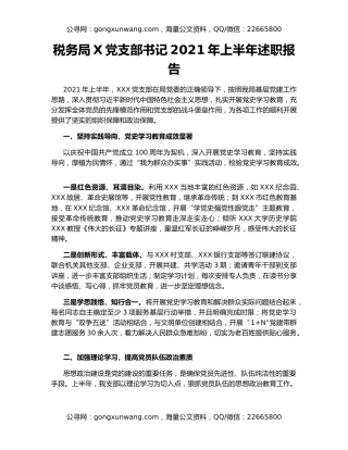 税务局X党支部书记2021年上半年述职报告