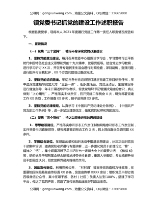 镇党委书记抓党的建设工作述职报告